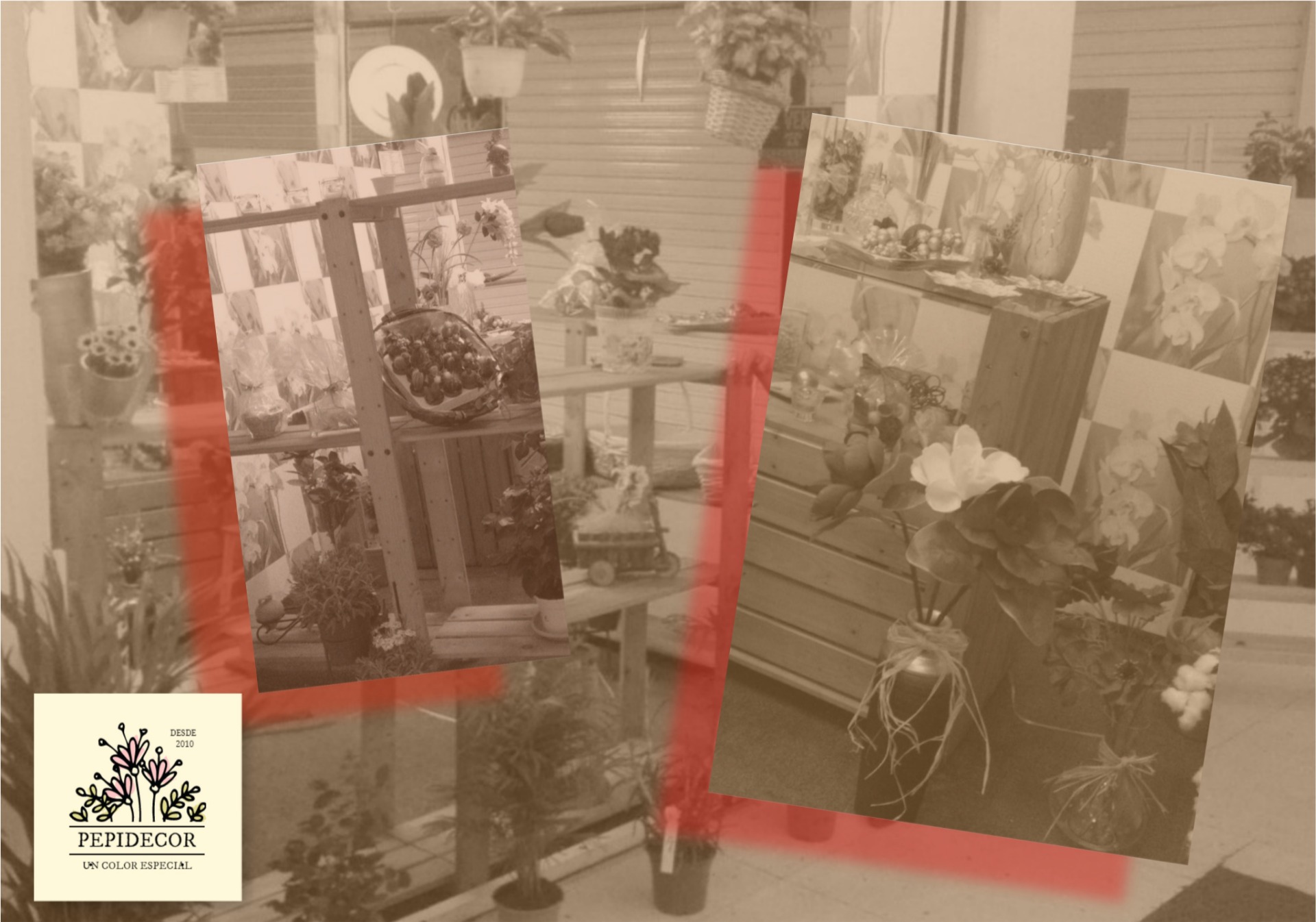 Tienda de plantas y decoración